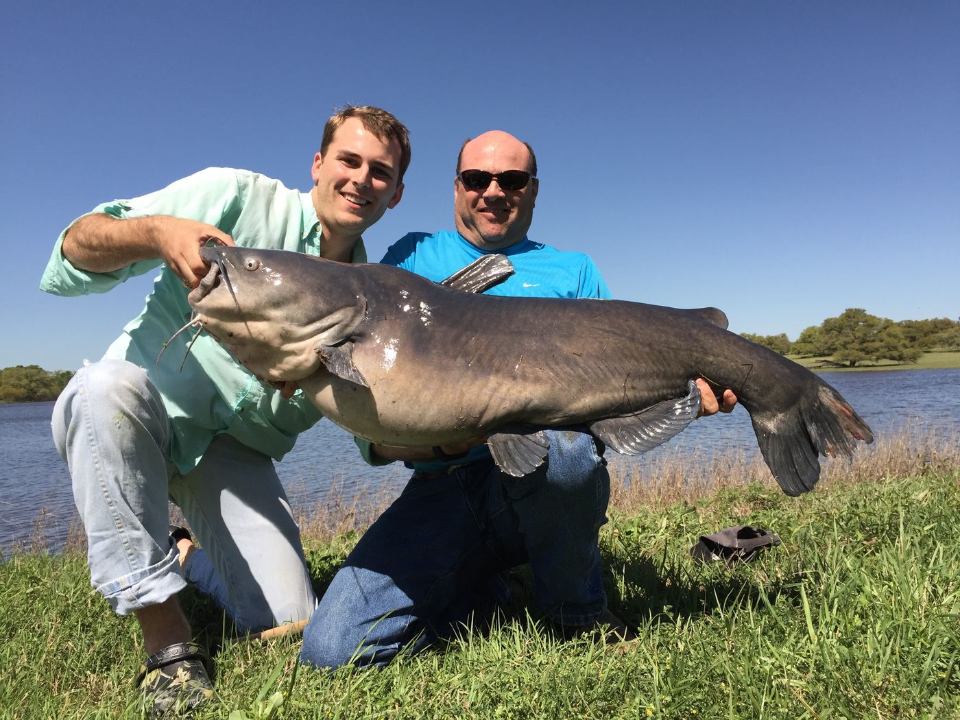 Two anglers holding a huge blue catfish