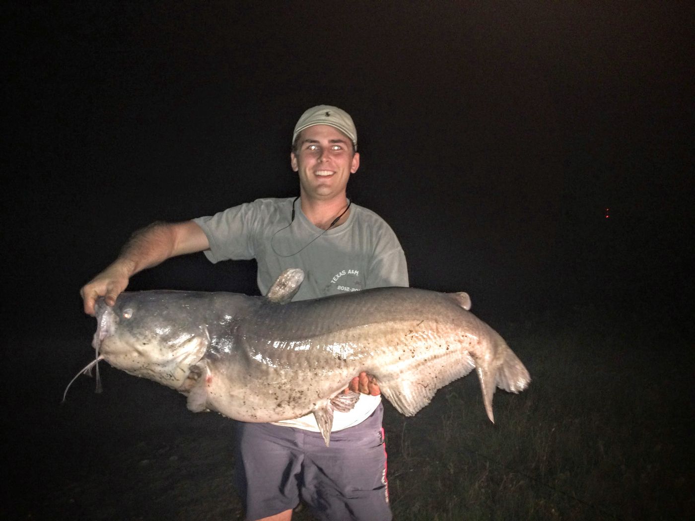 A catfish at night