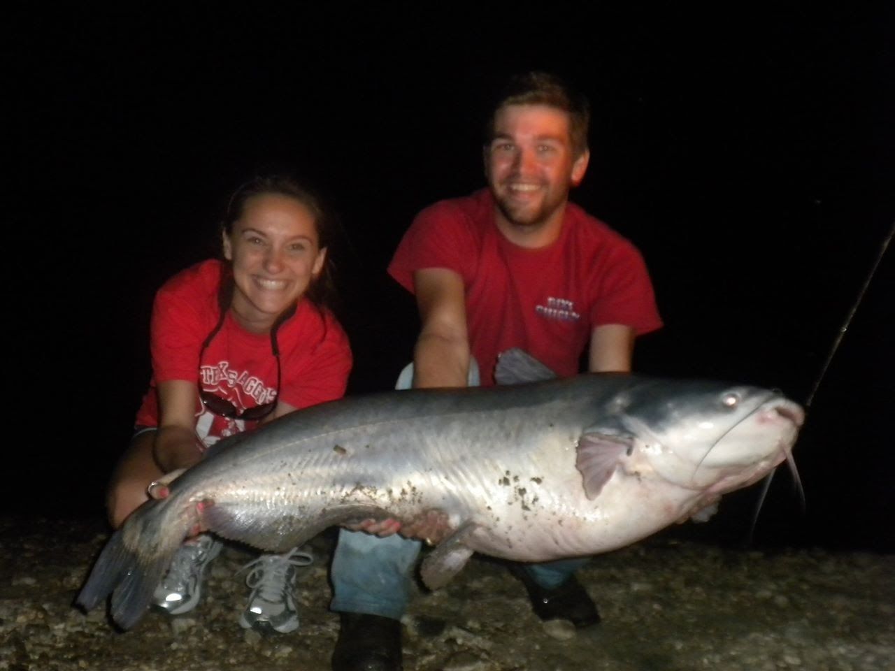 A big catfish at night