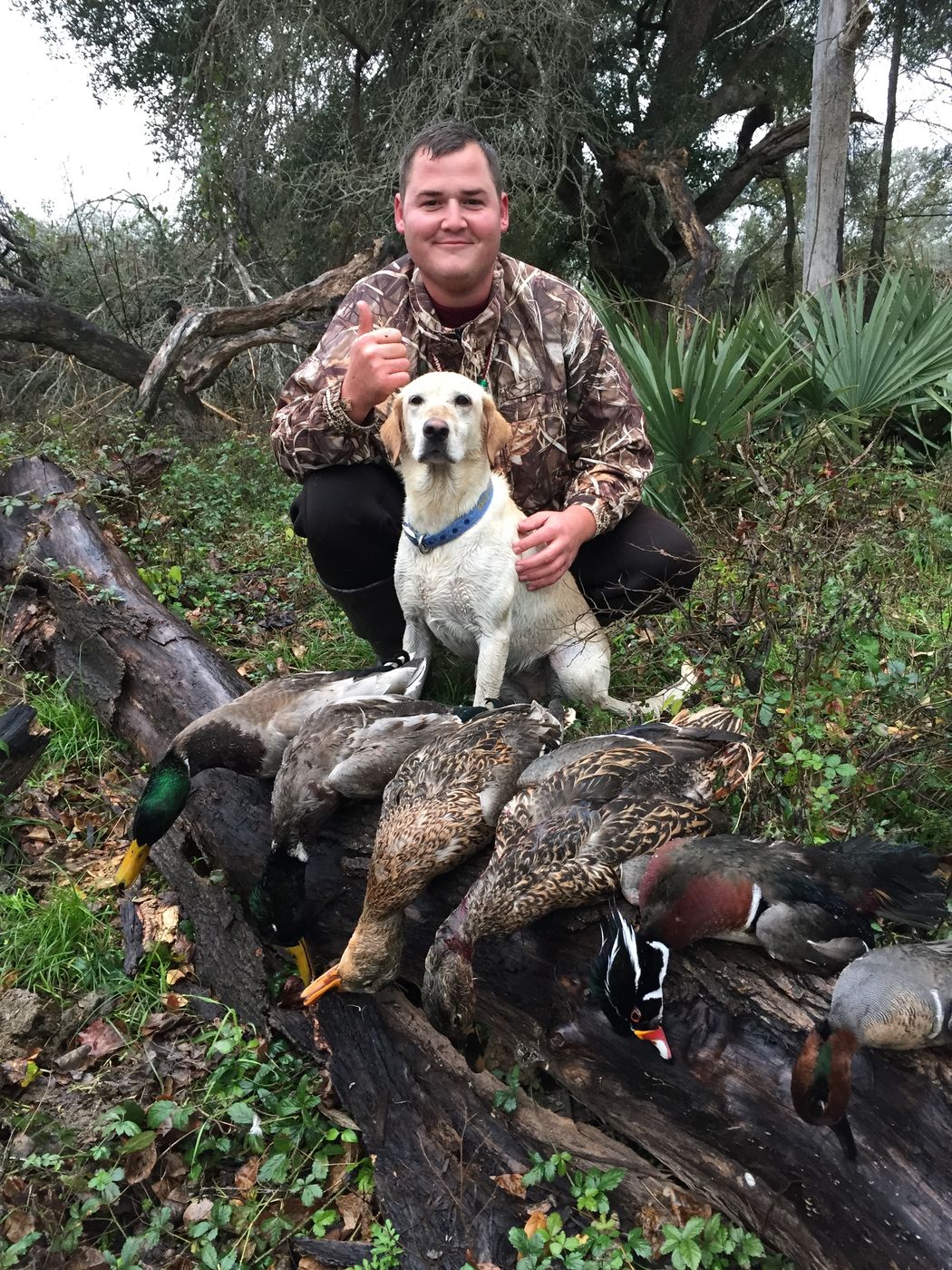 A morning limit of ducks