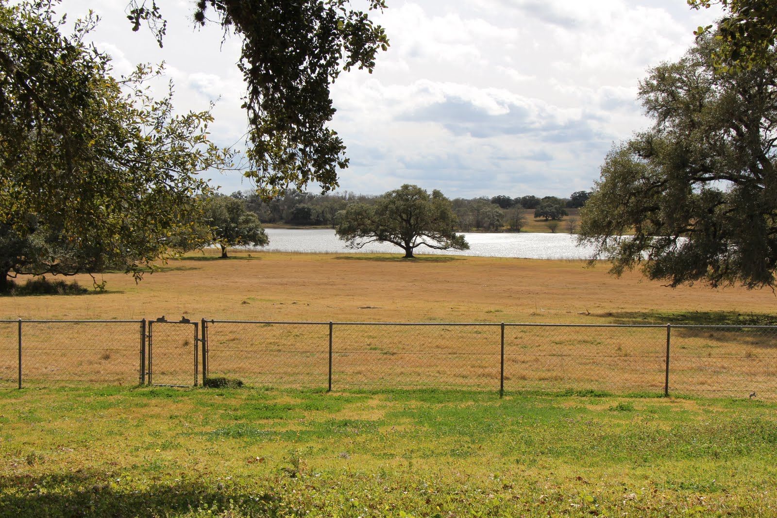 The pasture and lake